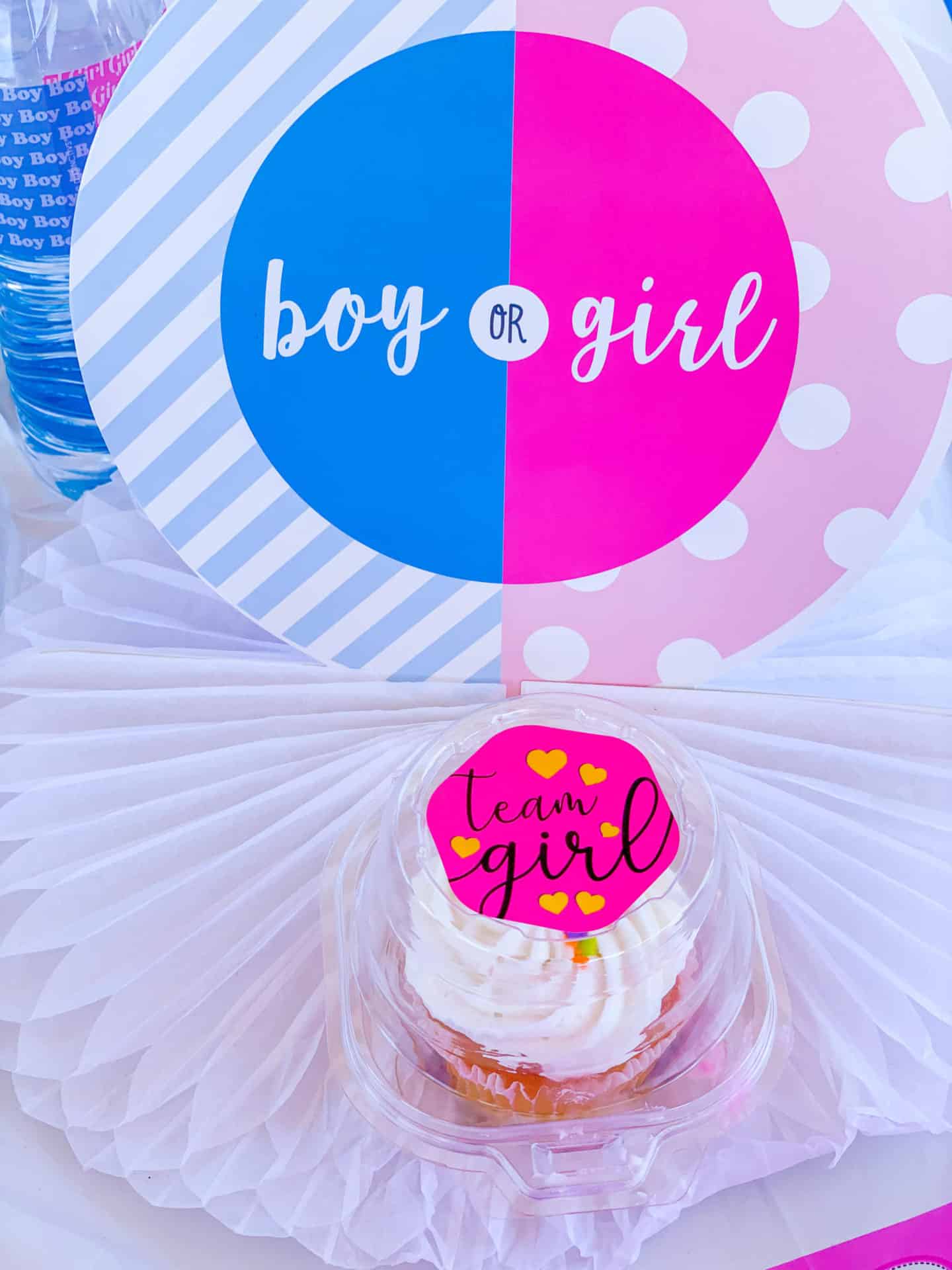 45 Unique Simple Gender Reveal Ideas Theme Decorations & Virtual Party