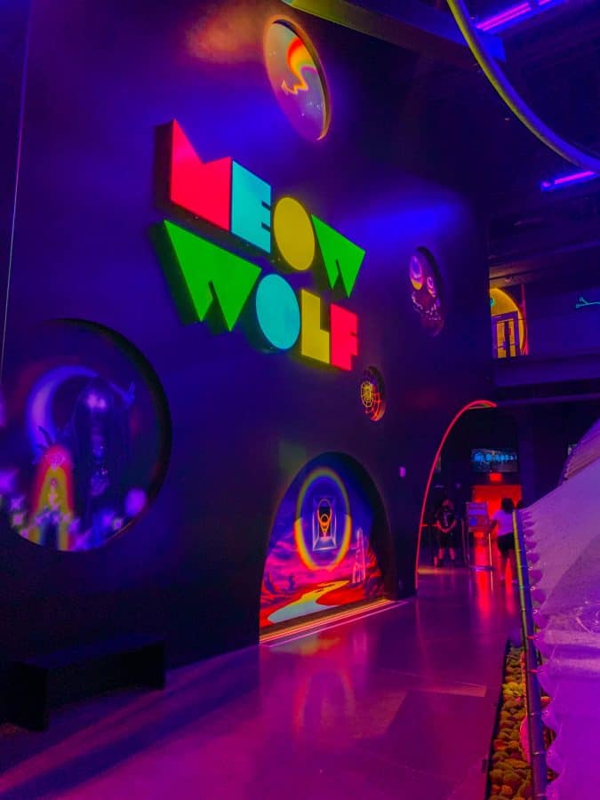 meow wolf las vegas age limit